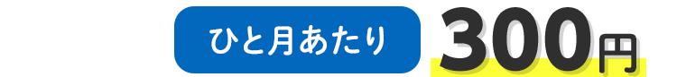 ひと月あたり 300円