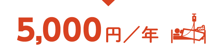 6,000円/年